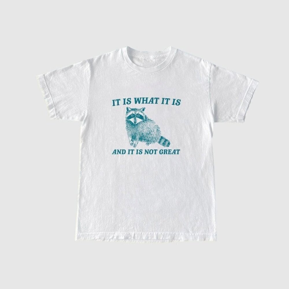 It Is What It Is Not Great Raccoon Meme Funny Retro T-Shirt .